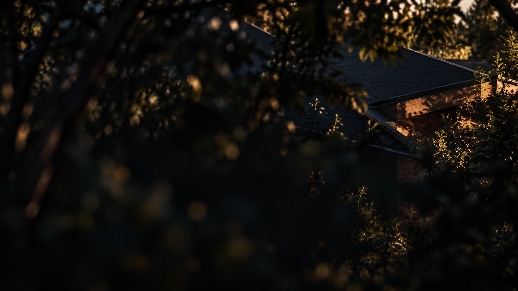 Warm architectural detail concealed by tree shadows