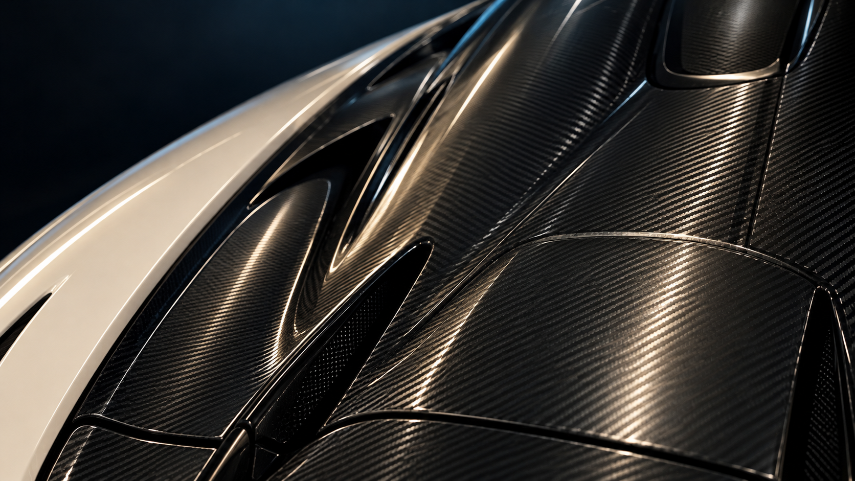 Carbon and bodywork study